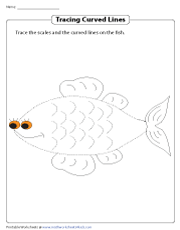 Tracing Curved Lines on a Fish