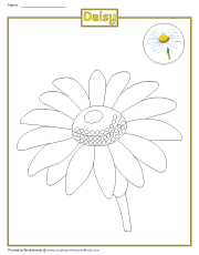 Coloring a Daisy