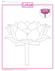 Coloring a Lotus