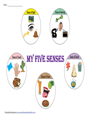 Five senses and their uses - Chart