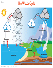 Water Cycle Vocabulary Chart